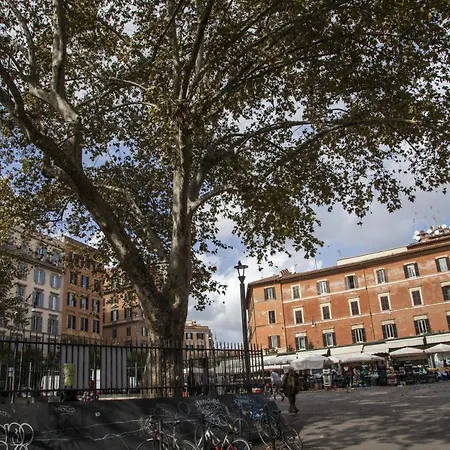 Trasteverome45-3